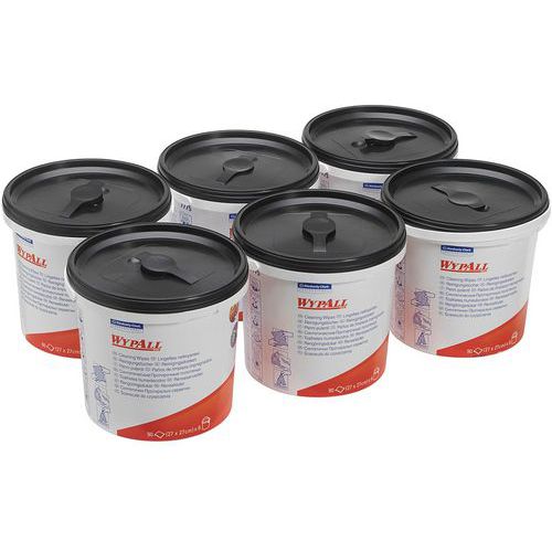 Kosteuspyyhkeet, 6-pack - Wypall