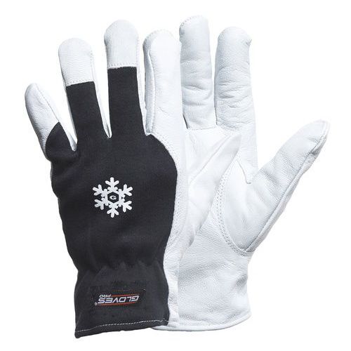 Talvihanska asennustöihin Dex 12